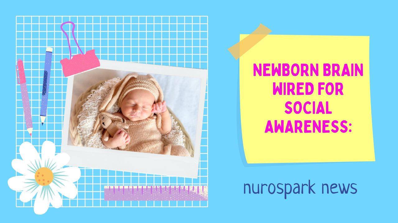 Newborn Brain Wired for Social Awareness: Early Insights into Human Connection | Nuro Spark